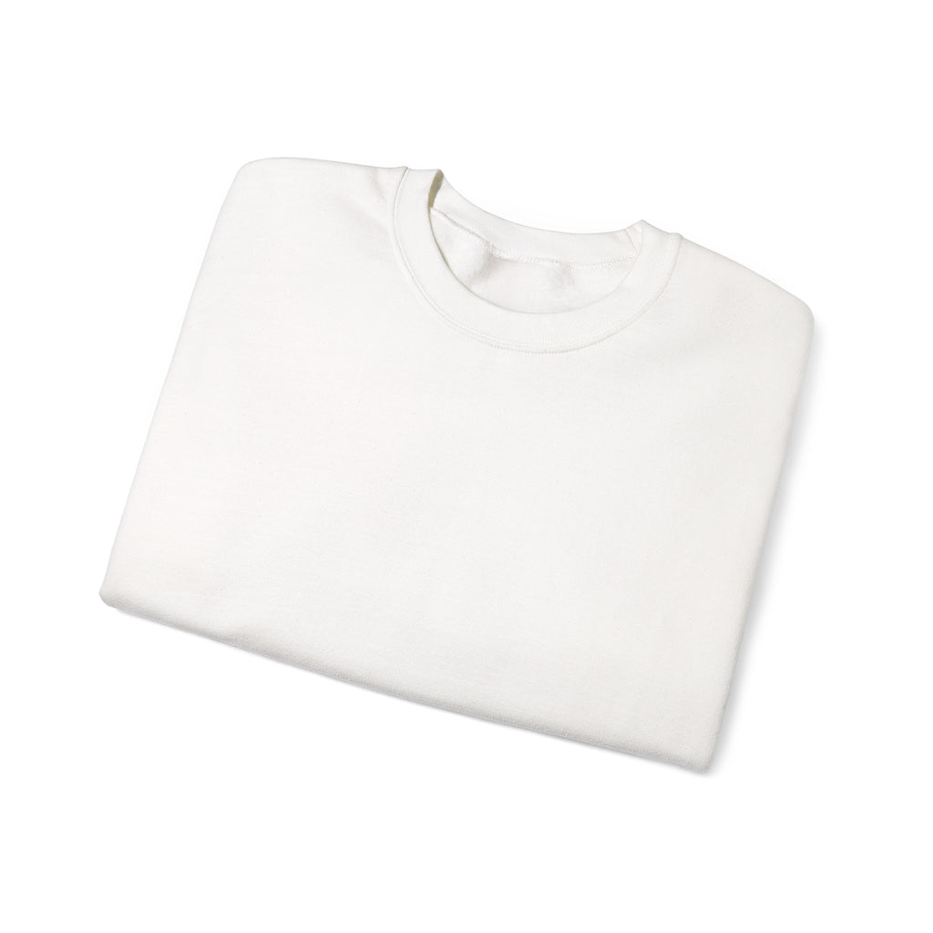 F30 Sweat Shirt