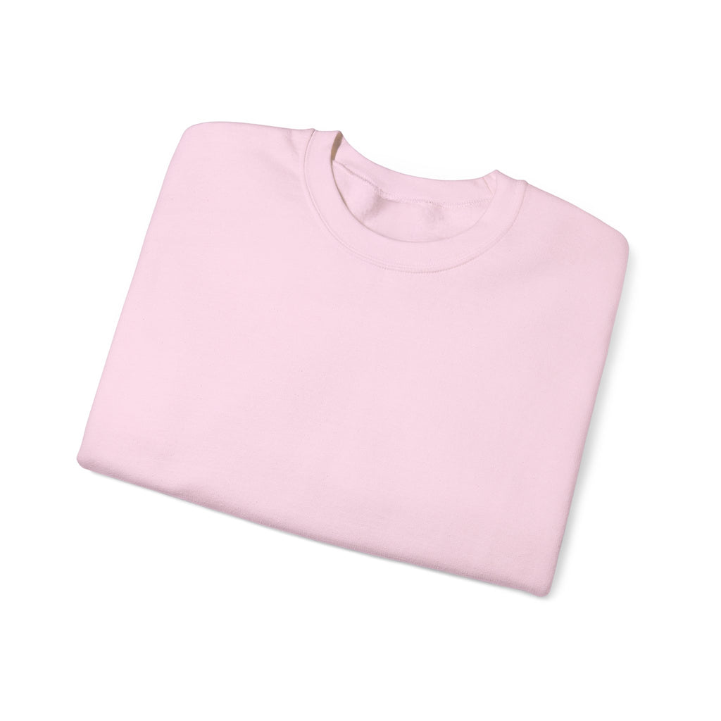 F30 Sweat Shirt