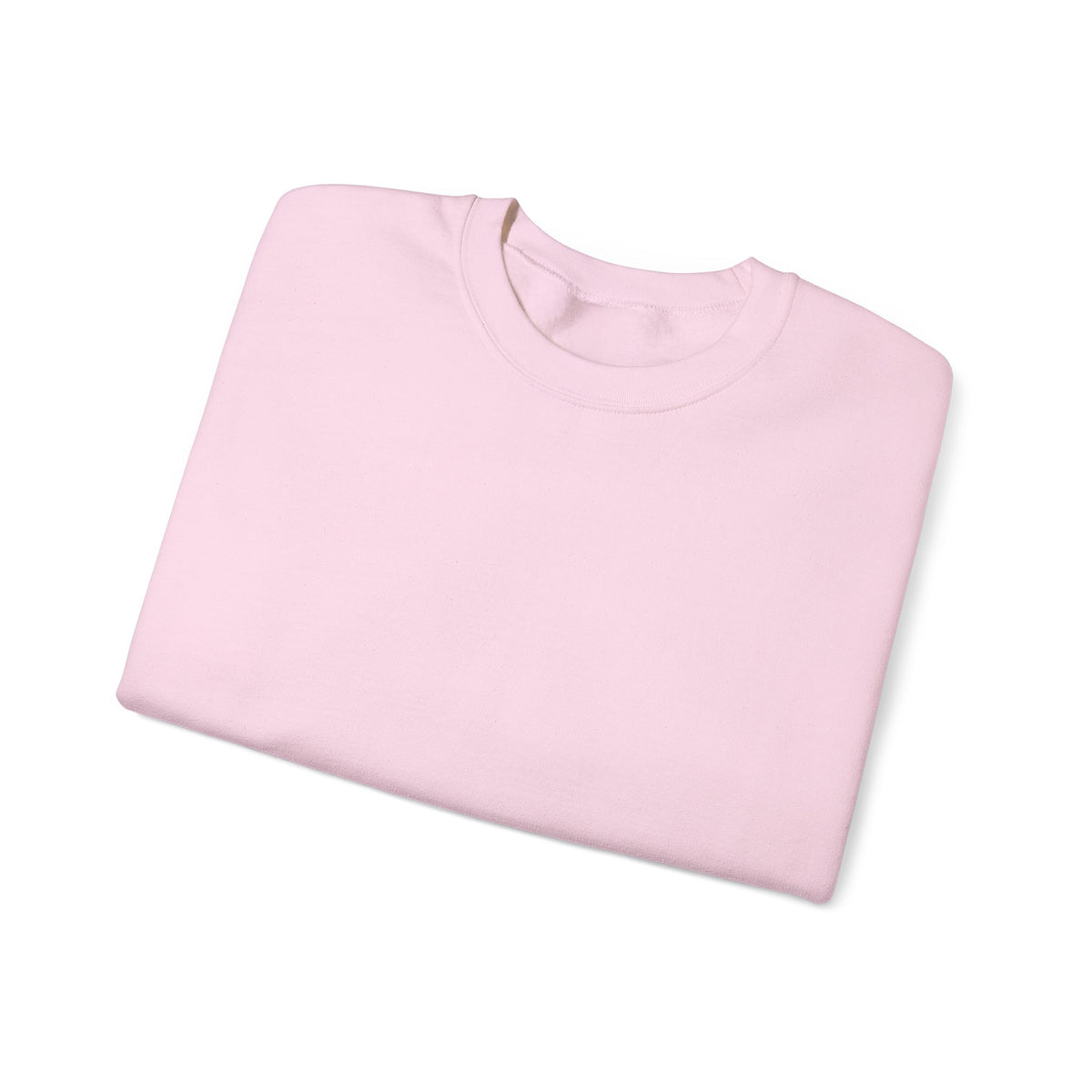 F30 Sweat Shirt