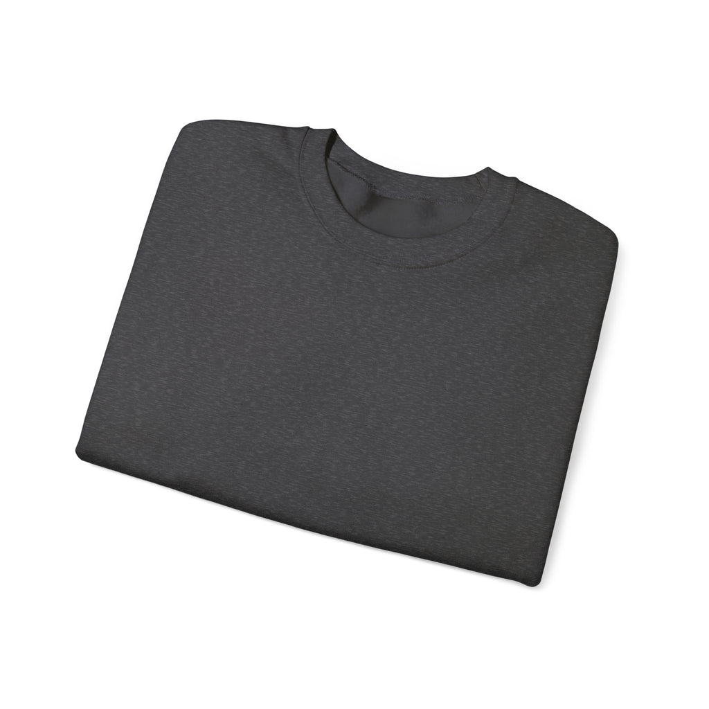 F30 Sweat Shirt