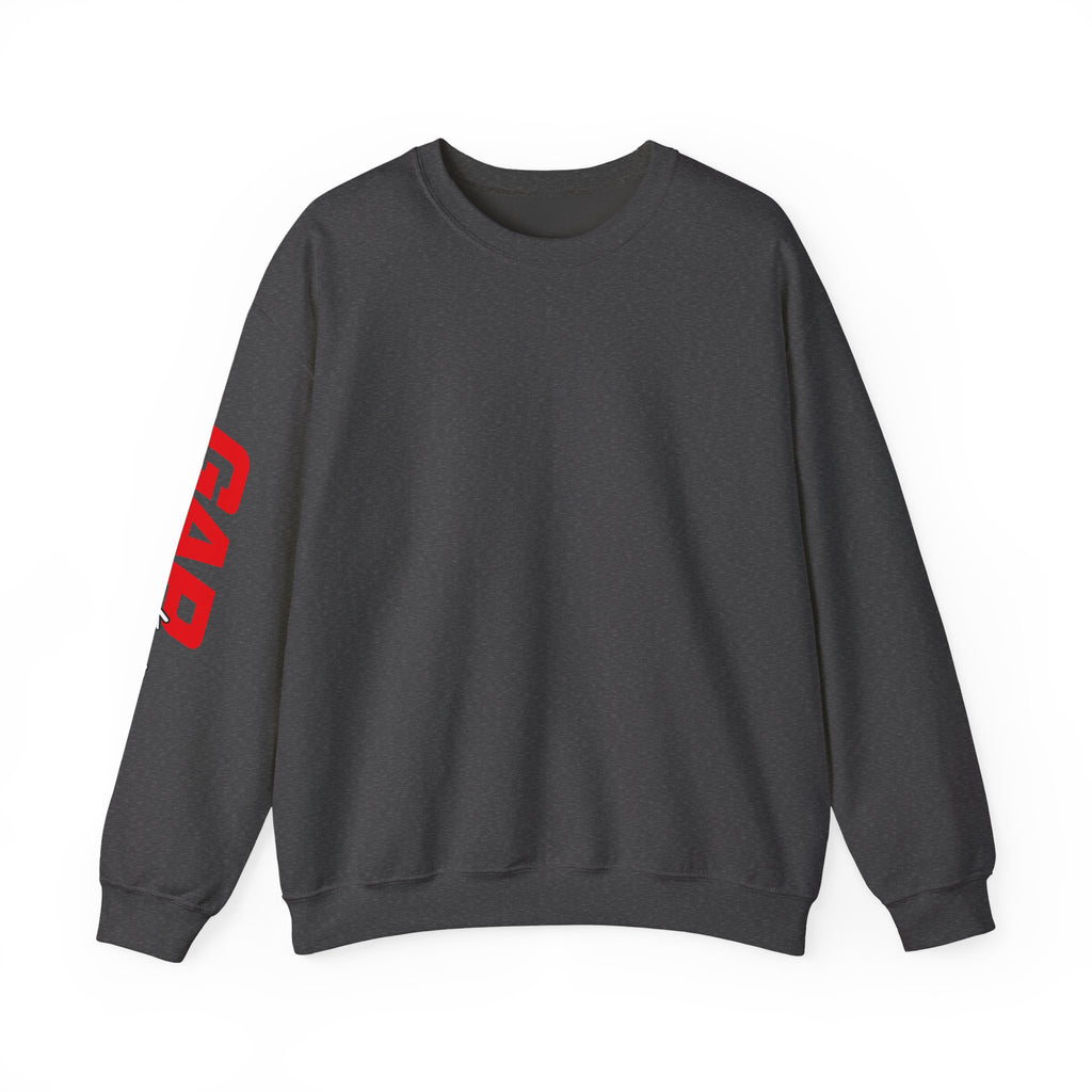F30 Sweat Shirt