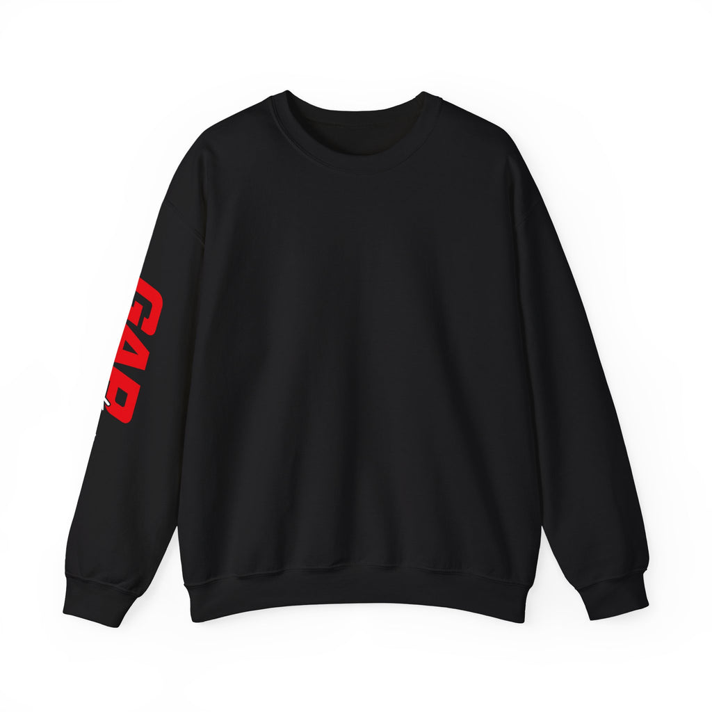 F30 Sweat Shirt